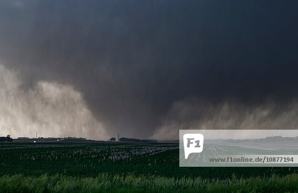 Ein gewalttätiger  von Regen umhüllter Keil-Tornado zerreißt Ackerland im ländlichen Kansas