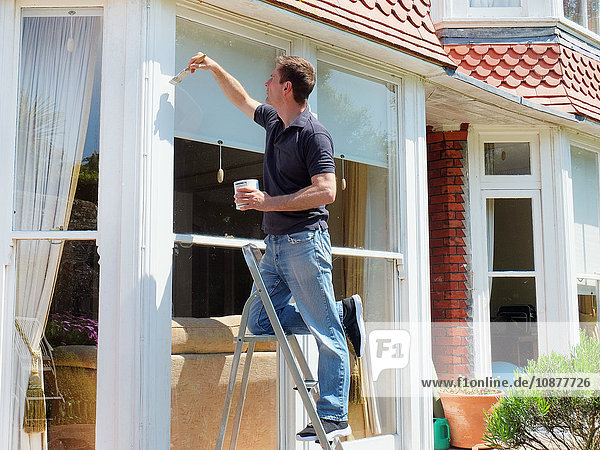 Mann auf Leiter malt Fensterrahmen