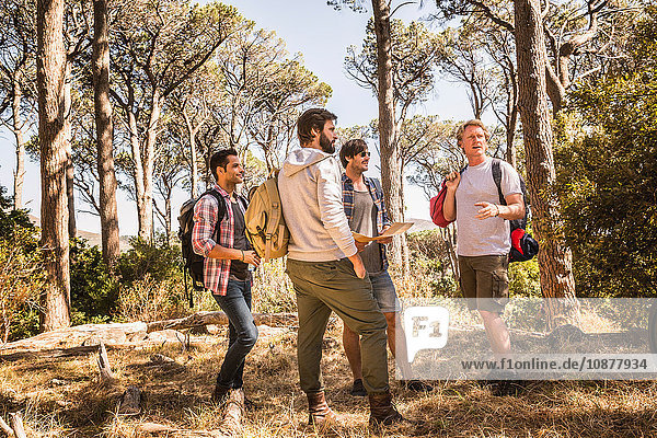 Vier Männer planen mit Wanderkarte im Wald  Deer Park  Kapstadt  Südafrika