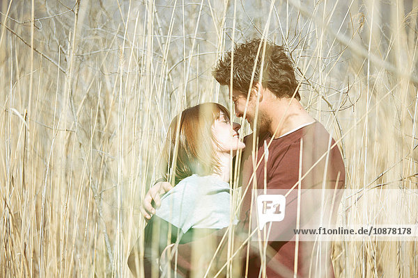 Blick durch hohes Gras eines Paares von Angesicht zu Angesicht umarmend  lächelnd