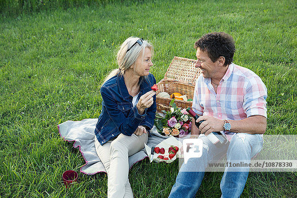 Reifes Paar auf Gras beim Picknick lächelnd