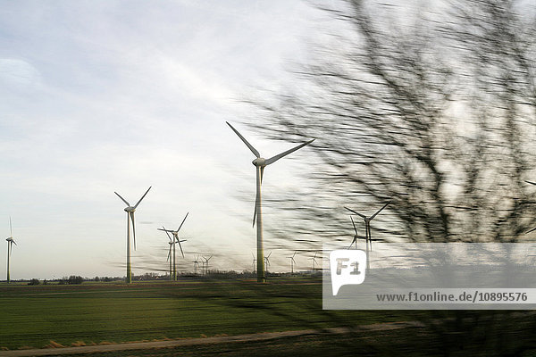 Deutschland  Windkraftanlagen im Gras