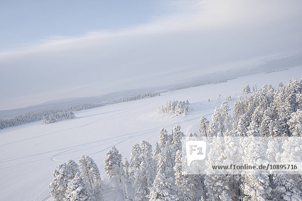 Schweden Lappland Jokkmokk Luftaufnahme von Wald und zugefrorenem See im Winter
