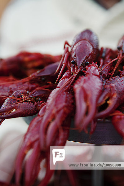 Sweden Crayfish on market