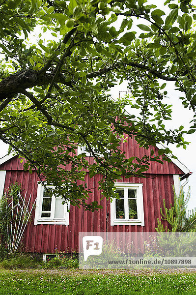 Schweden  Halland  Steninge  Blick auf das Holzhaus