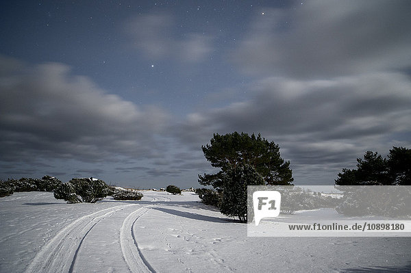 Schweden  Gotland  Holmhallar  Sterne am Himmel über Schneefeld