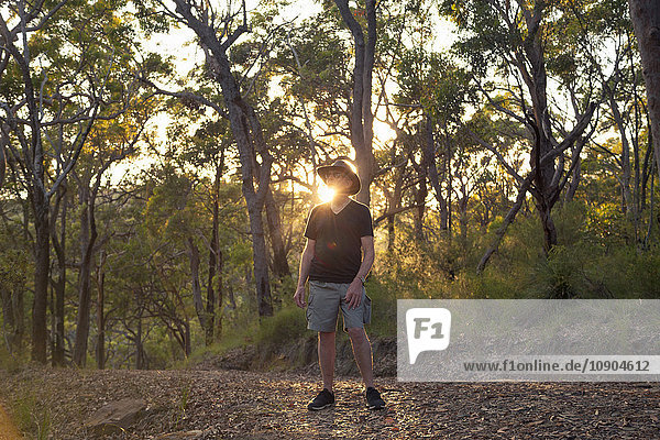 Australien  New South Wales  Perlenstrand  Senior Tourist im Wald bei Sonnenuntergang