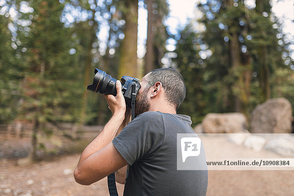 Junger Tourist beim Fotografieren im Wald