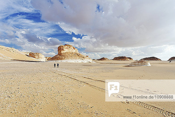 Egypt  New Valley Governorate  Farafra  White Desert