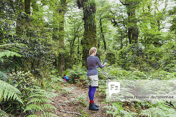 Neuseeland  Nordinsel  Te Urewera Nationalpark  Frau  Wanderer auf dem Trail fotografieren mit Tablette