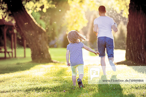 Back view of father and his little daughter running on a meadow in the park