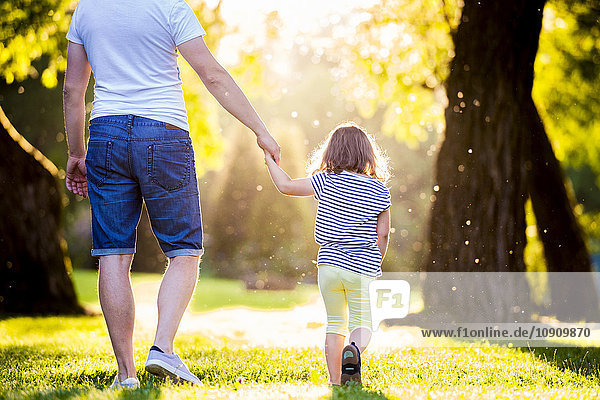 Rückansicht des Vaters und seiner kleinen Tochter auf einer Wiese im Park