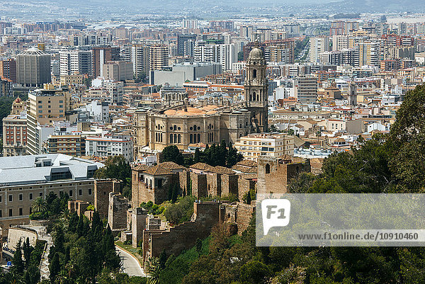 Spanien,  Andalusien,  Malaga,  Spanien,  Andalusien,  Malaga,  Blick auf die Stadt Malaga,  mit der Kathedrale und dem Alcazar