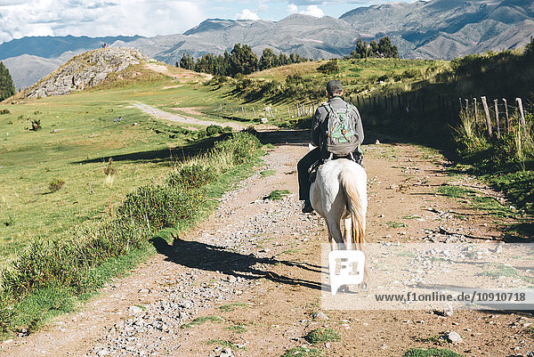 Peru  Cusco  Rückansicht des Reitpferdes