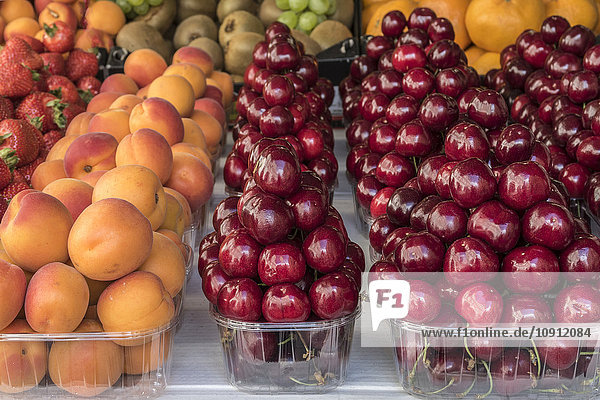Fruchtvielfalt in Kunststoffschalen auf dem Gallus Markt