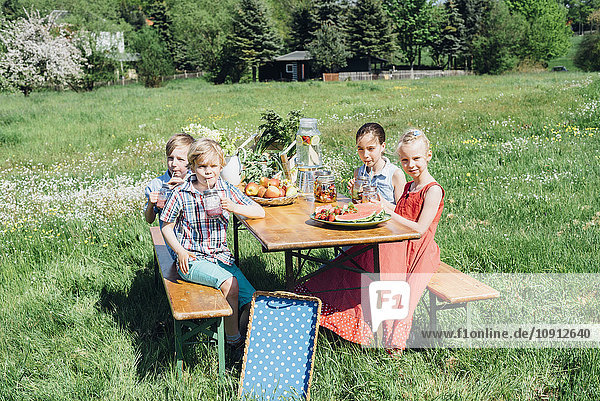 Children at beer table set with fruit and drinks on meadow