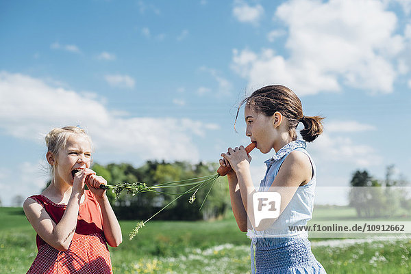 Two girls outdoors eating organic carrots