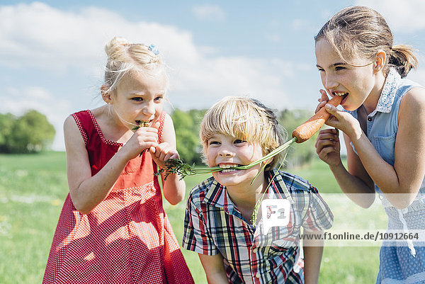 Verspielte Kinder im Freien beim Essen von Bio-Karotten