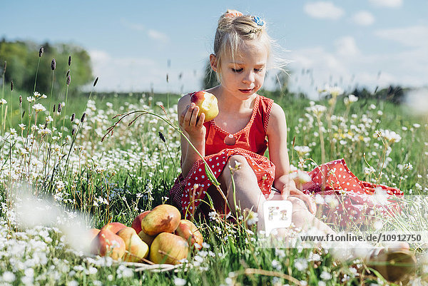 Grl sitzend auf Blumenwiese mit Äpfeln