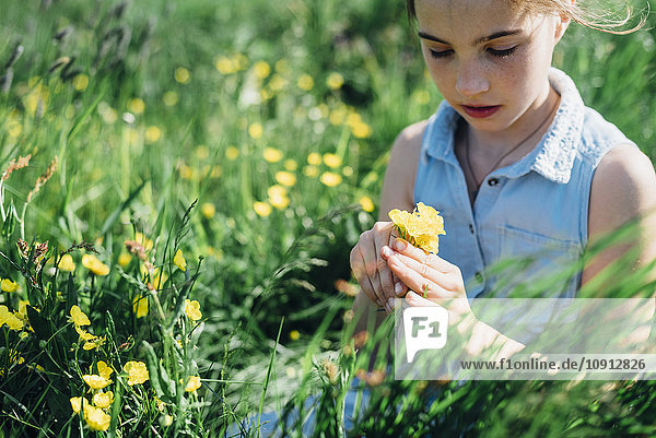 Grl picking flowers from meadow