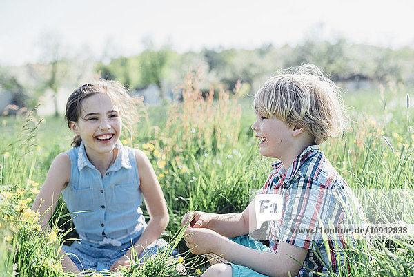 Happy boy and girl sitting in meadow