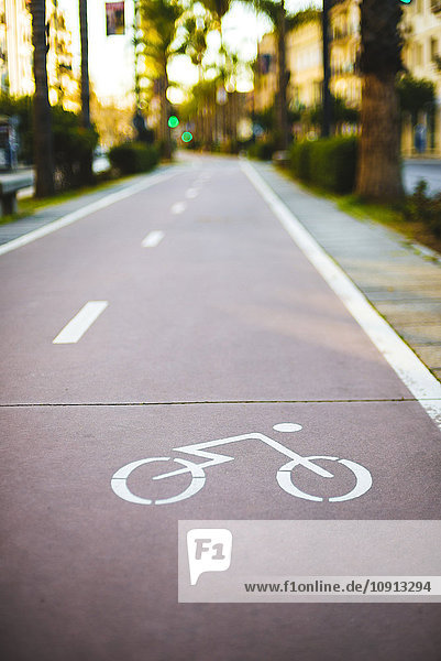Fahrradweg auf einem Stadtboulevard