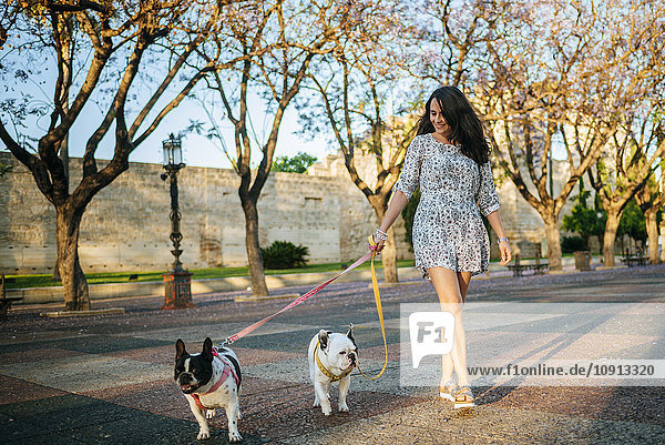 Frau geht mit ihren beiden Hunden spazieren