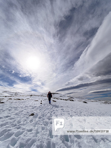 Spanien  Sierra de Gredos  Mann beim Wandern im Schnee