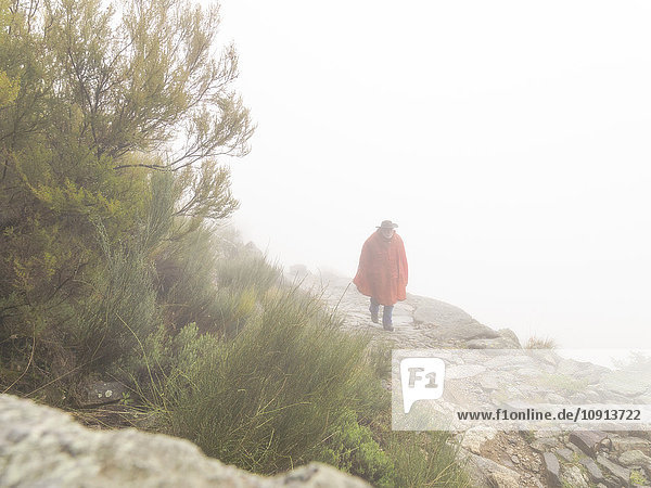 Spanien  Sierra de Gredos  Mann beim Wandern im Nebel