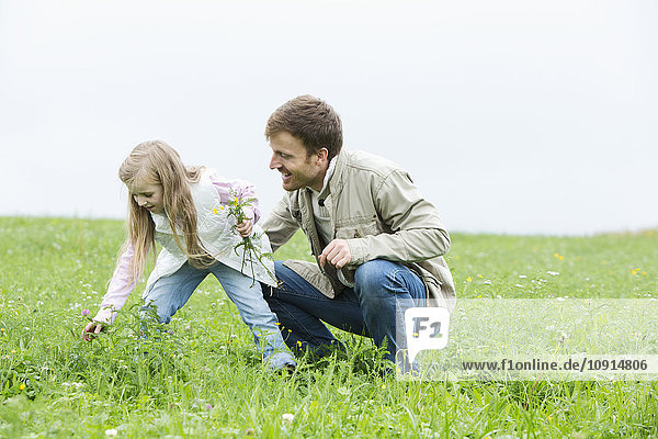 Father and daughter picking wildflowers in meadow