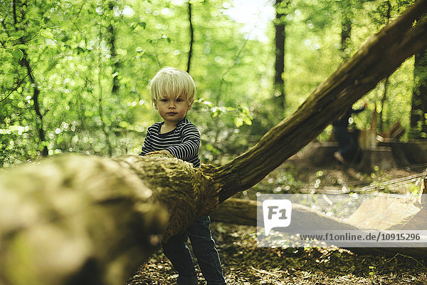 Kleiner Junge im Wald