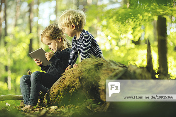 Geschwister im Wald mit digitalem Tablett