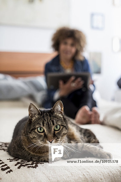 Portrait of tabby cat on bed with woman in background