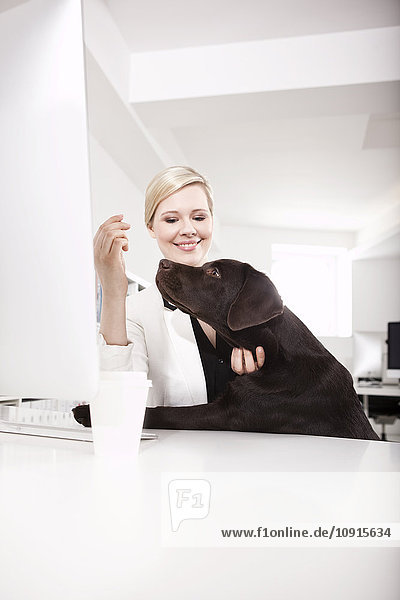 Geschäftsfrau mit ihrem Labrador Retriever im Büro