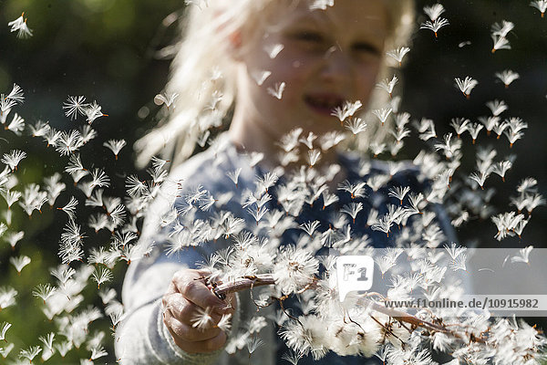 Kleines Mädchen beobachtet fliegende Samen einer Dolde