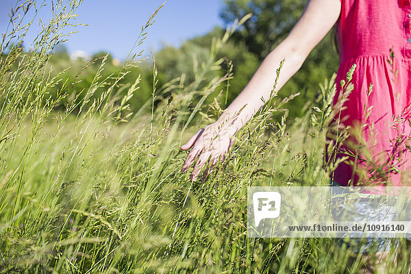 Hand eines jungen Mädchens  das Gräser auf einer Wiese berührt.