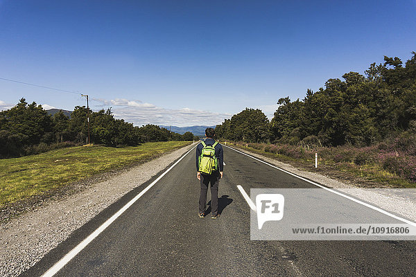New Zealand  Tongariro National Park  back view of hiker with backpack standing on country road