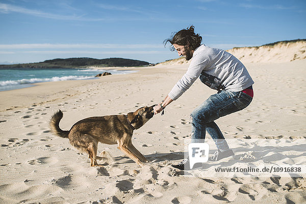 Man playing with his mongrel on the beach