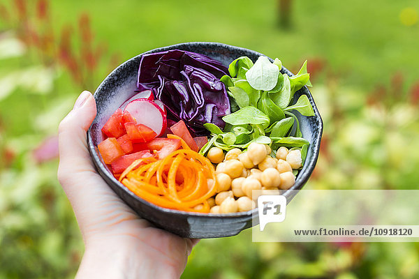 Regenbogensalat in einer Schüssel mit Kichererbsen  Tomaten  Karotten  Rotkohl  Radieschen  Salat