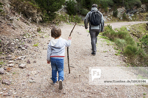 Father and son hiking on rural path