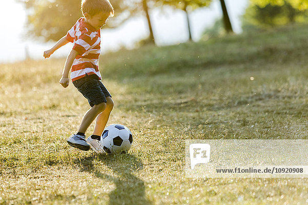 Kleiner Junge spielt Fußball auf einer Wiese