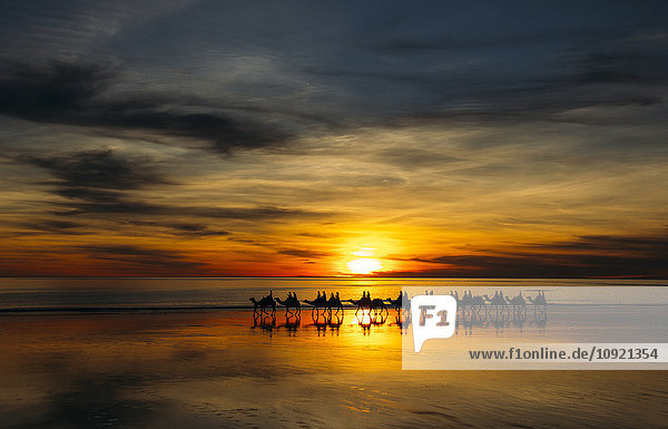 Silhouette der Kamelreiter bei Sonnenuntergang  Broome  Australien