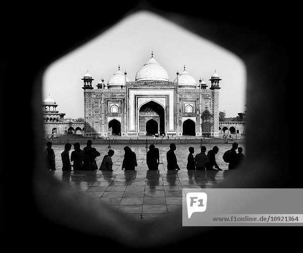 Silhouette of people facing the Taj Mahal  Agra  India