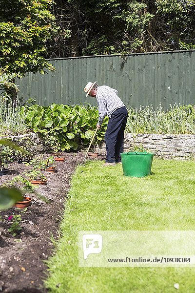 Senior man removing weeds in garden