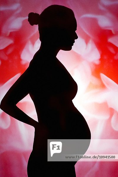 Silhouette einer schwangeren Frau