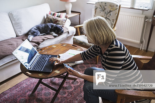 Seitenansicht der Seniorin mit dem Laptop zu Hause  während der Hund sich auf dem Sofa entspannt.