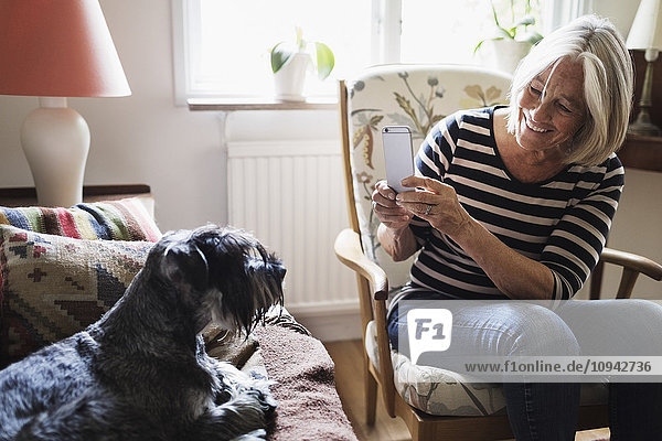 Glückliche ältere Frau fotografiert Hund durch Smartphone zu Hause
