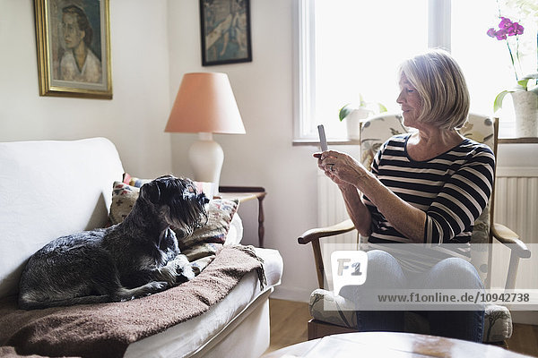 Senior Frau fotografiert Hund durch Smartphone zu Hause