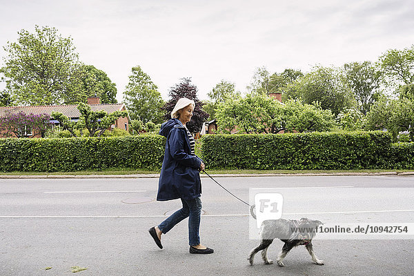 Side view of happy senior woman walking with dog on street