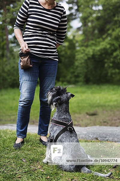 Niedrige Sektion einer älteren Frau  die auf dem Feld steht und auf einem Hund sitzt.